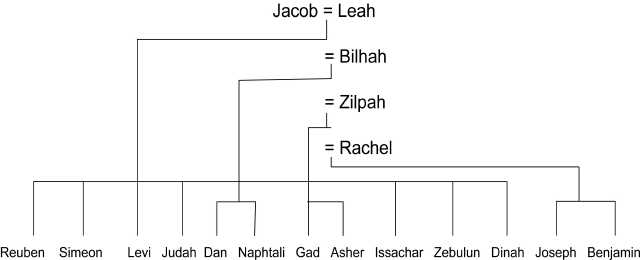 Family Tree